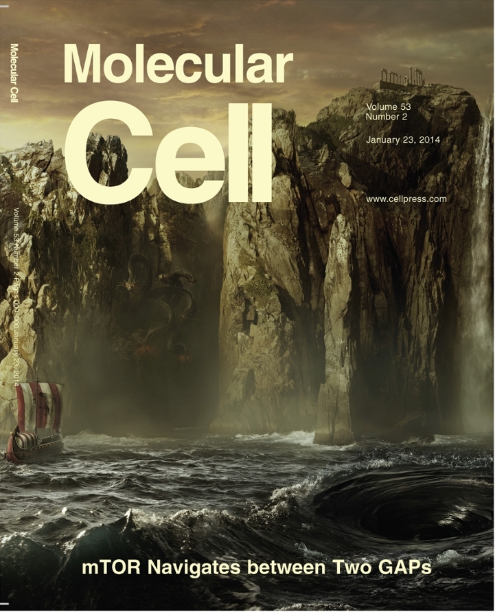 Mol Cell 012314 cover