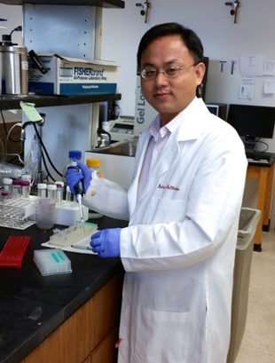 Wei Jie